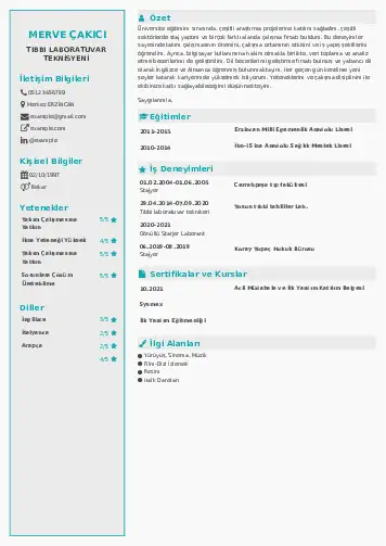 Laboratuvar Teknisyeni Cv Örnekleri cv indir